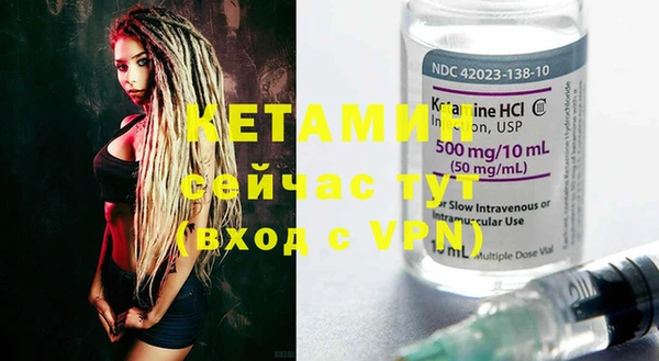 индика Мегион